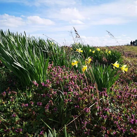 Renovated House - By Traum Юельсминне